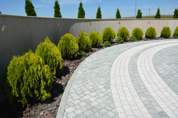 Best Driveway Pavers Near Me  in Shafter, CA